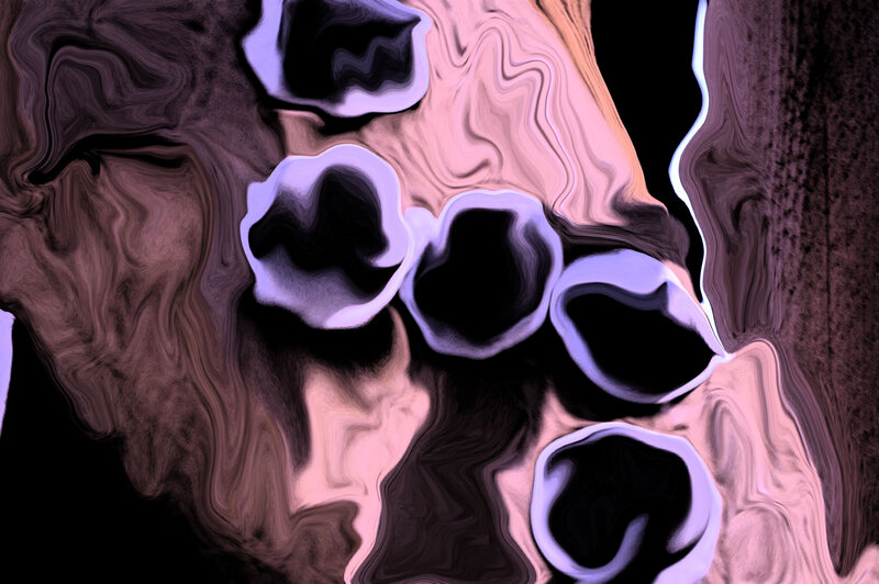 Abstract Fluid Shapes — Black