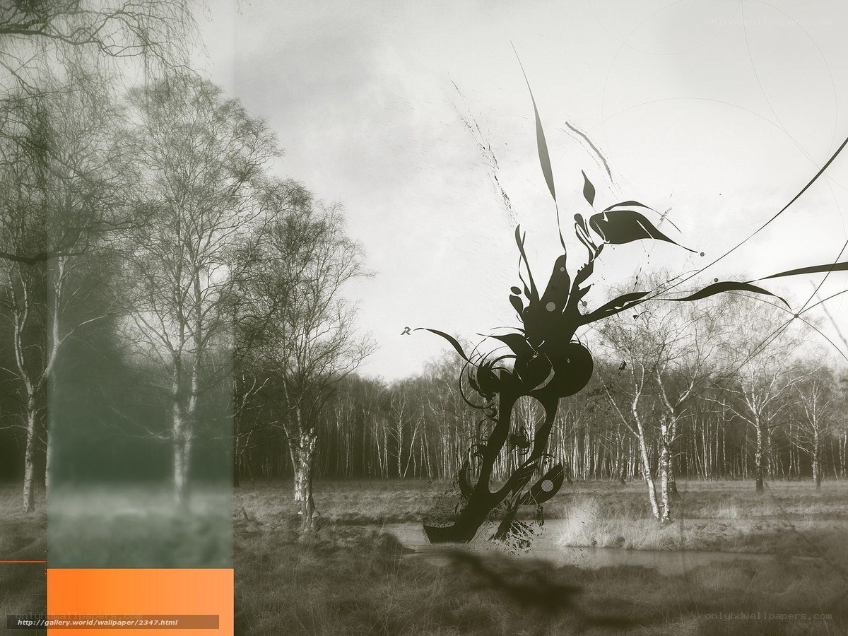 Abstract forest art