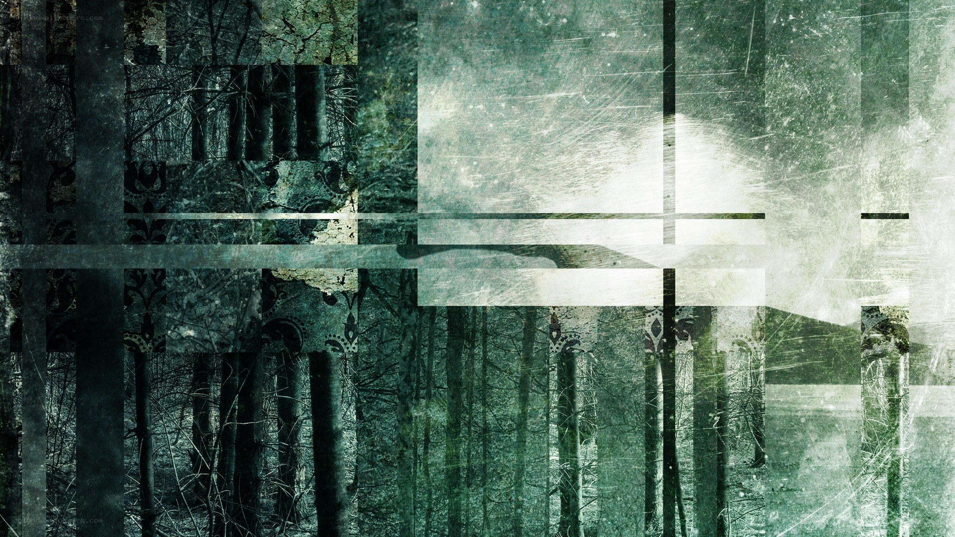 abstract forest collage