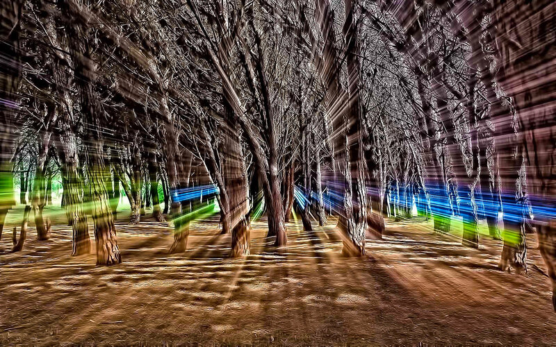 Abstract forest with light trails