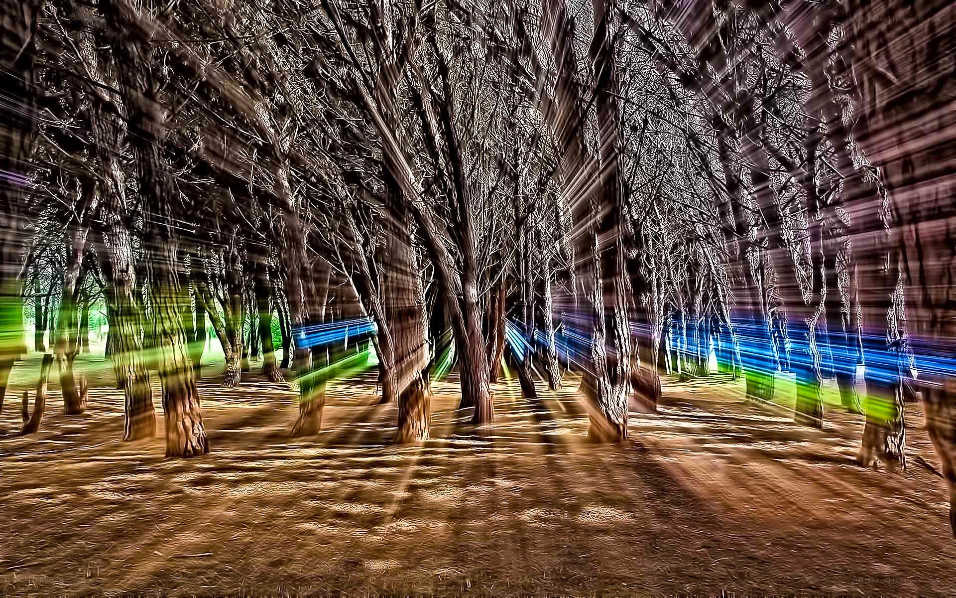 Abstract forest with light trails