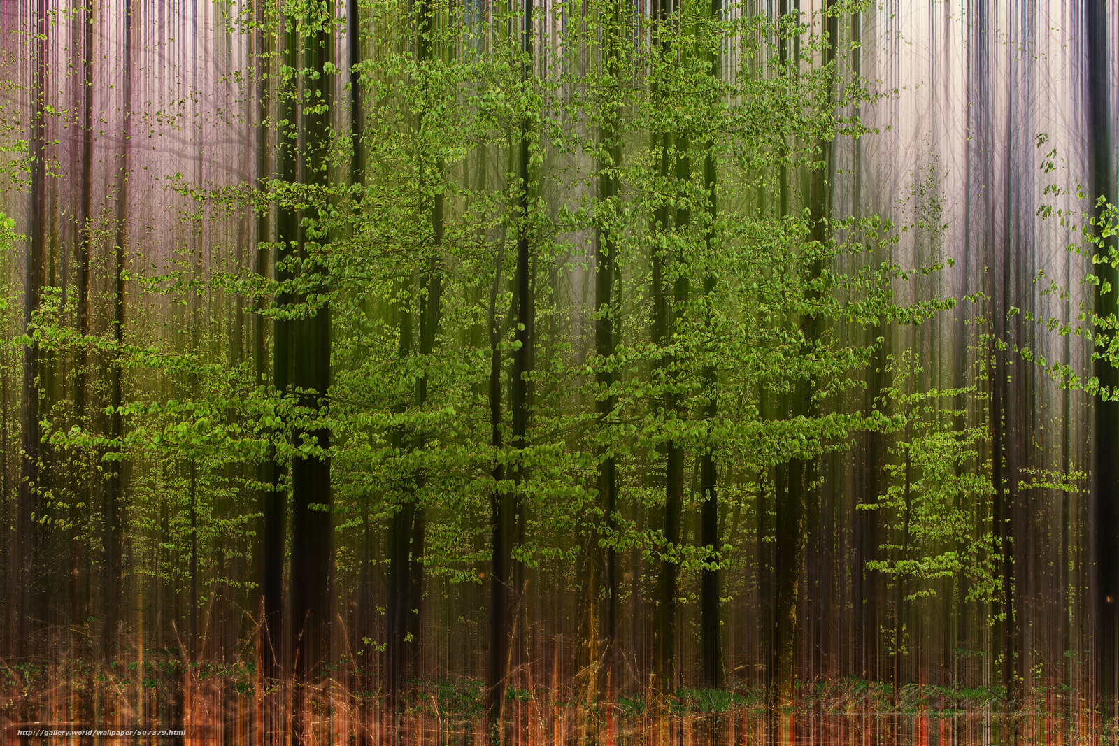 Abstract forest with motion blur