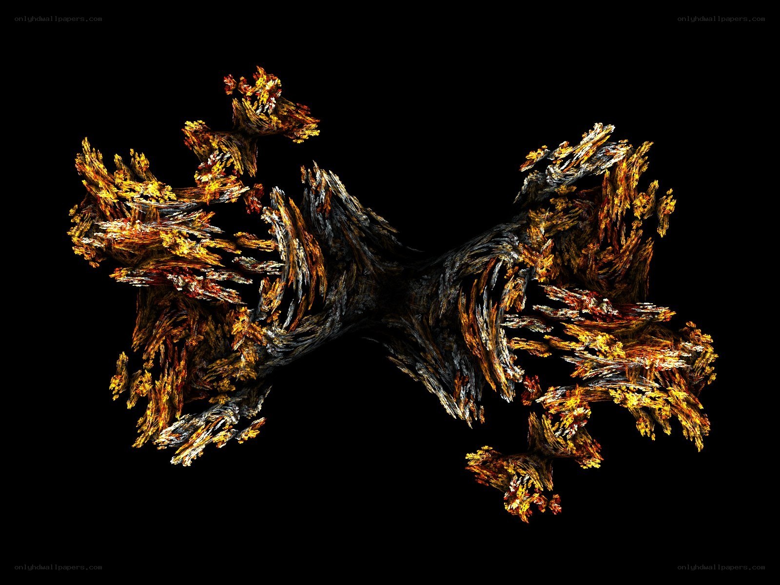 abstract fractal art form