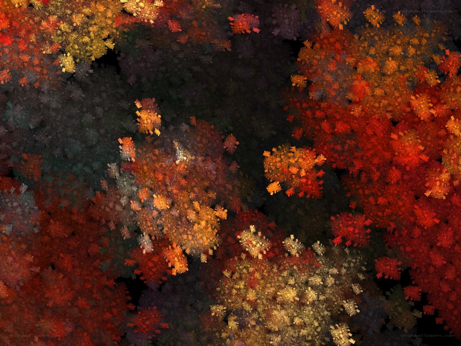 Abstract fractal autumn colors