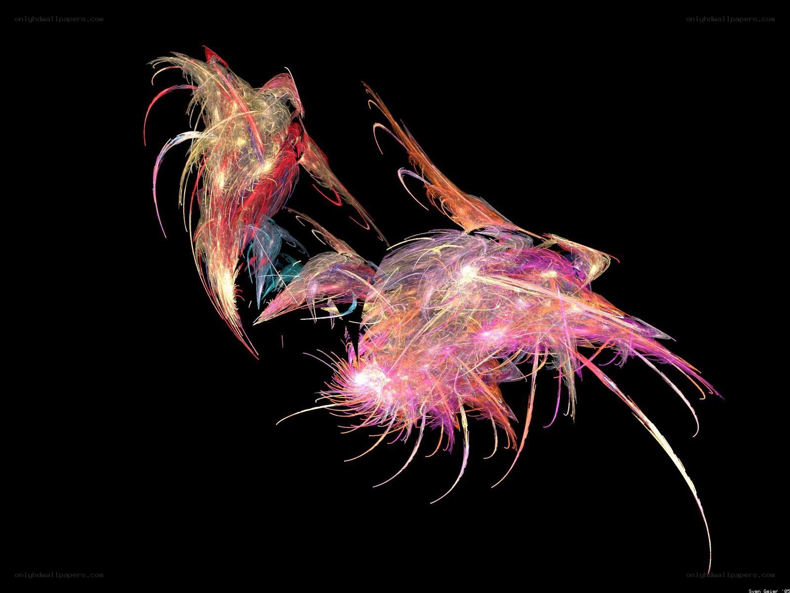 Abstract fractal birds