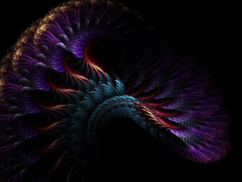 Abstract fractal feather design