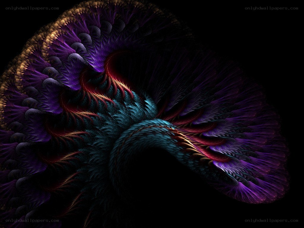 Abstract fractal feather design