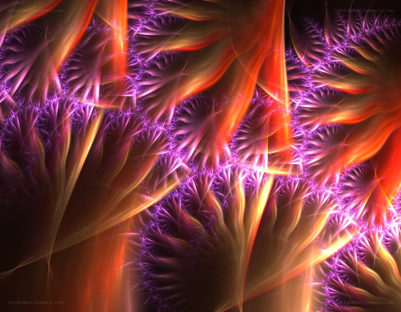 Abstract fractal flame pattern