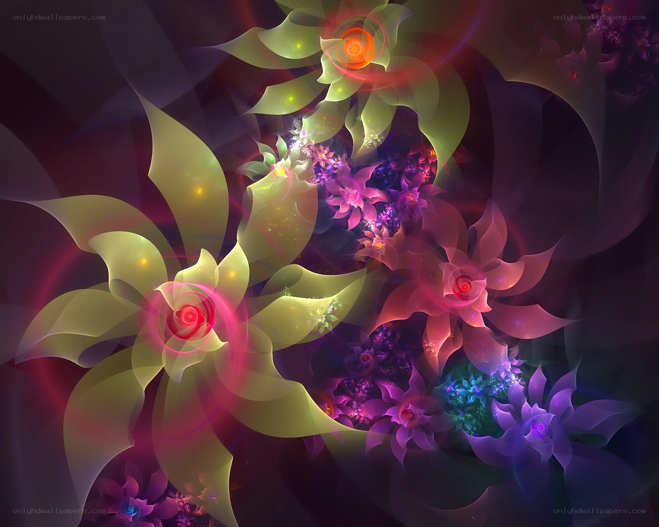 Abstract fractal floral patterns