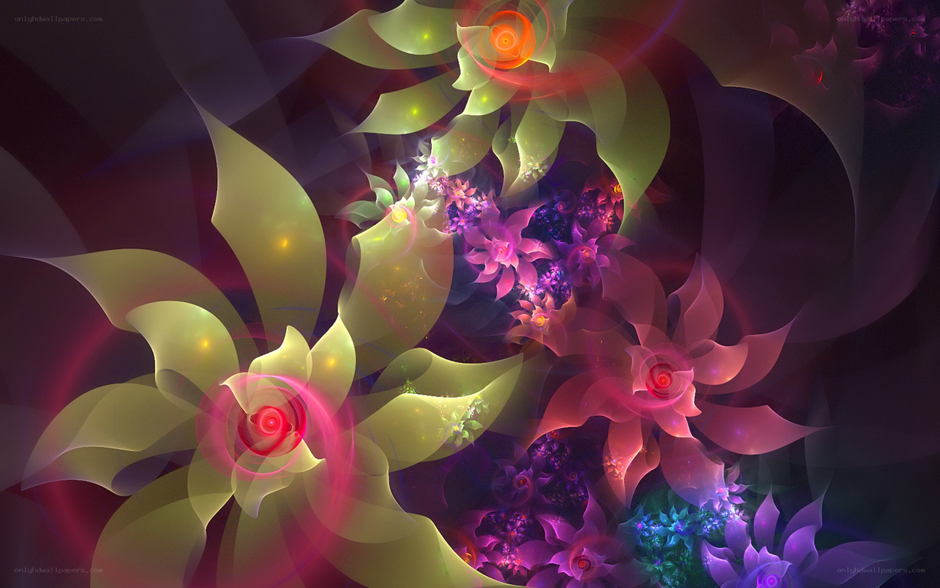 Abstract fractal floral patterns