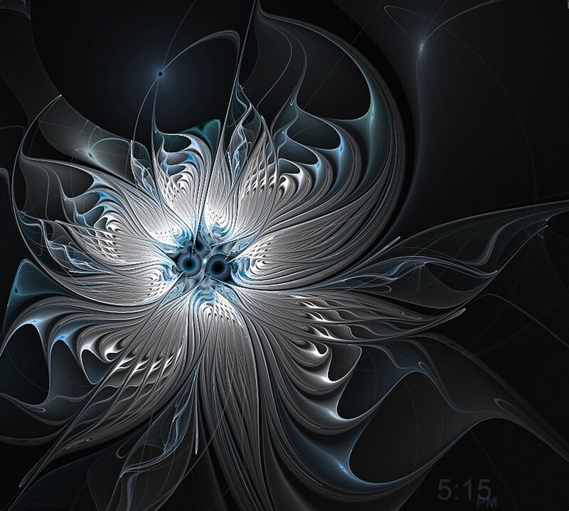 Abstract Fractal Flower — Black, Dramatic