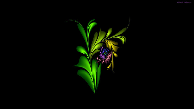 Abstract Fractal Flower — Black