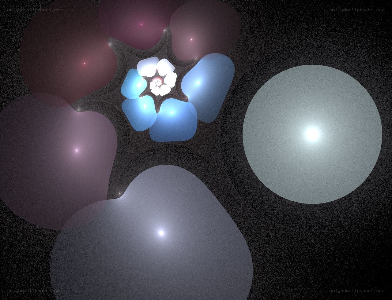 Abstract fractal flower design