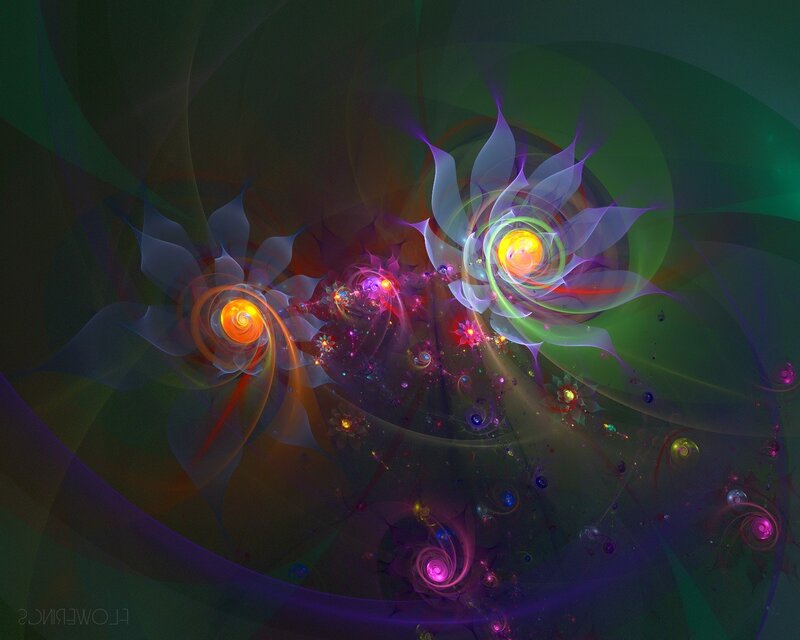 Abstract fractal flower patterns