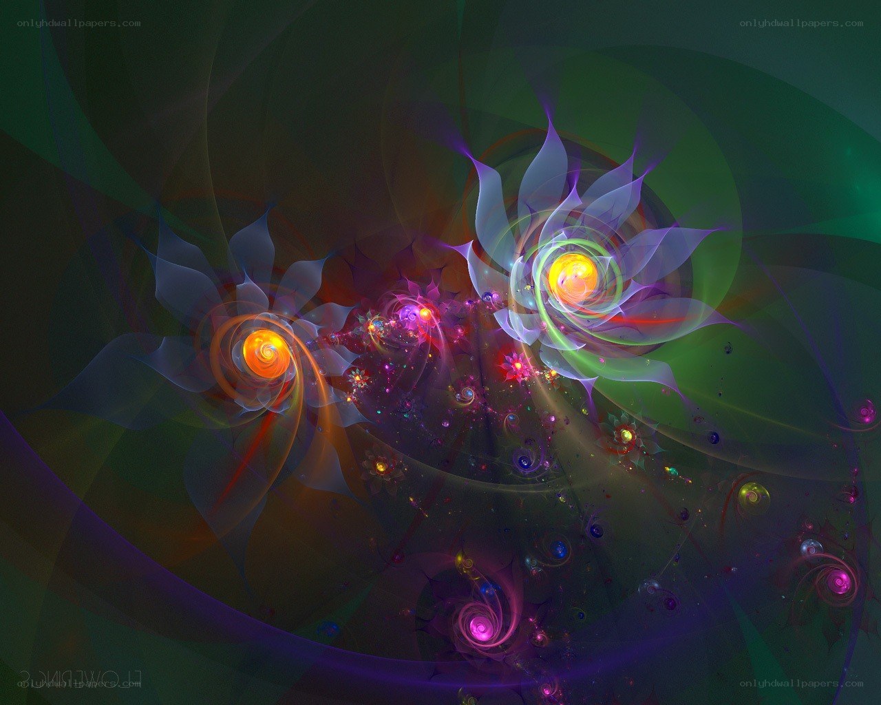 Abstract fractal flower patterns