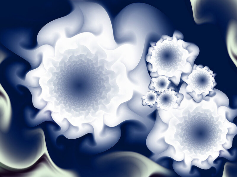 Abstract fractal flower patterns