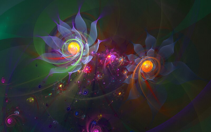 Abstract fractal flower patterns