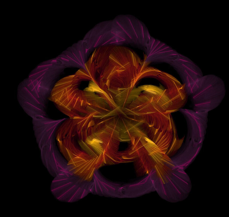 Abstract Fractal Flower — Purple, Dramatic