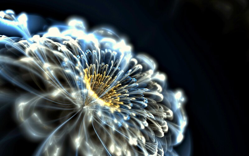 Abstract Fractal Flower — White, Dramatic