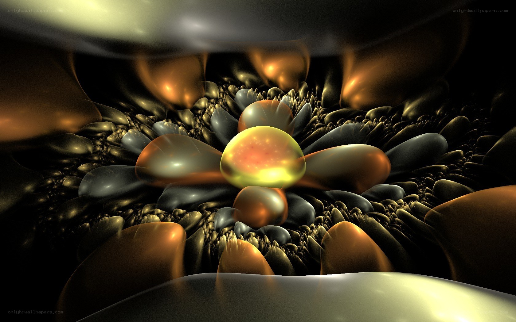 abstract fractal flower