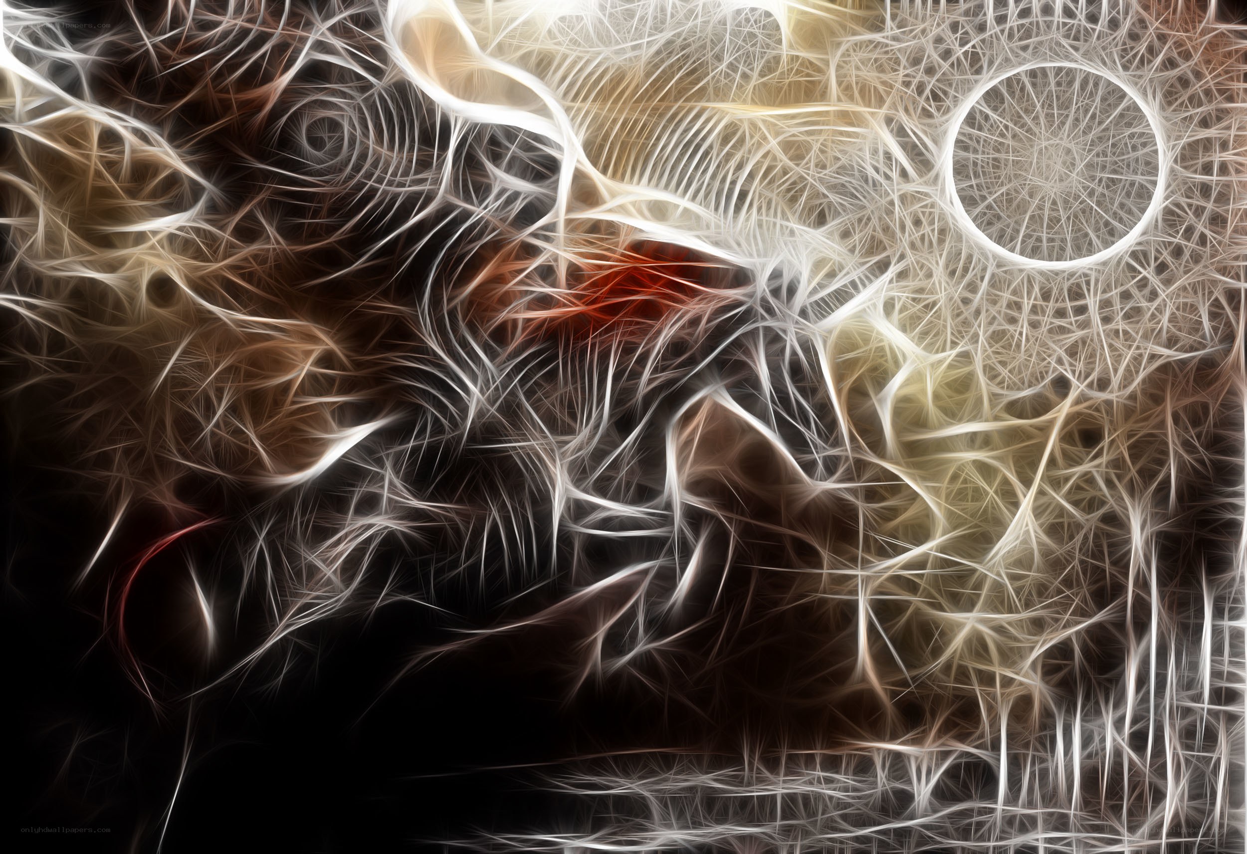 Abstract fractal light patterns