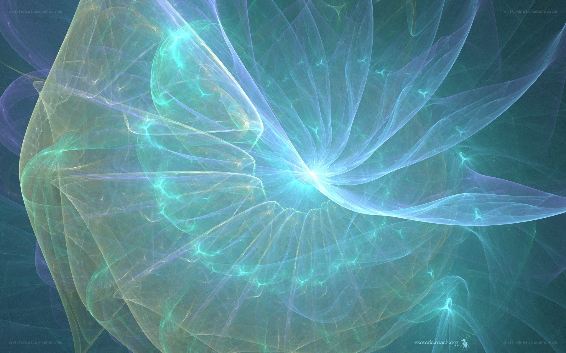 Abstract fractal light swirl