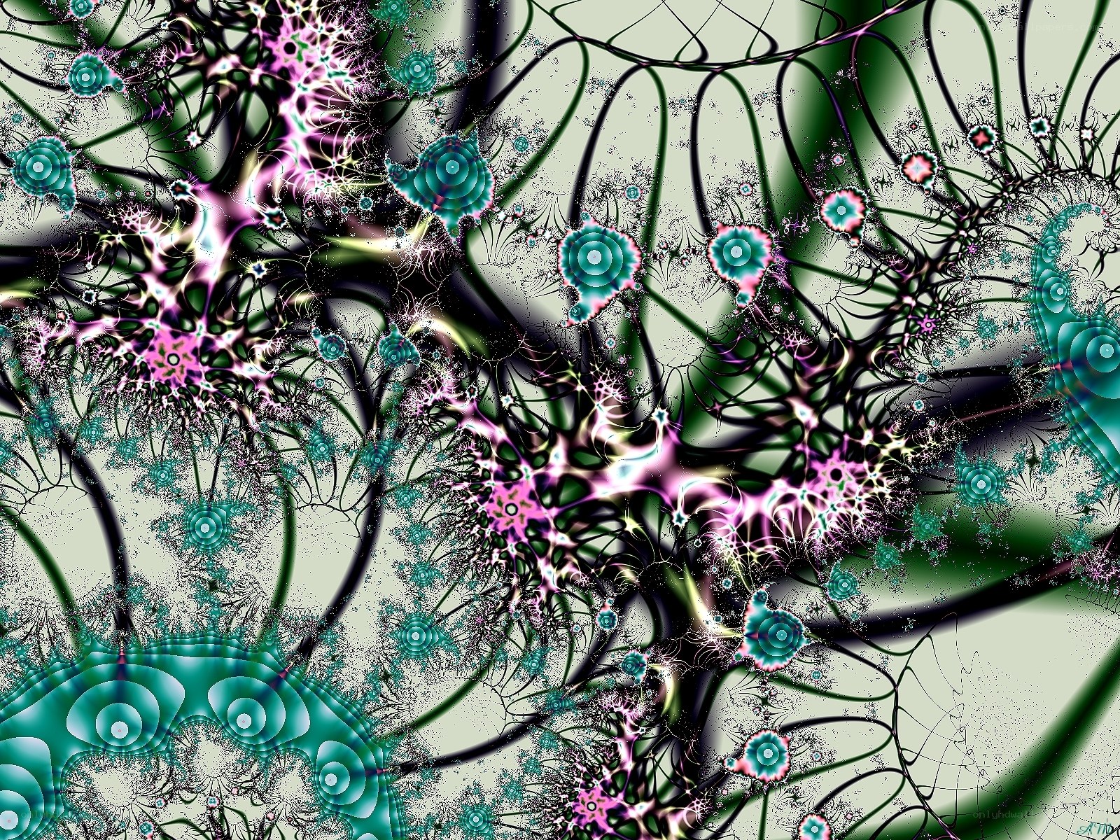Abstract fractal network