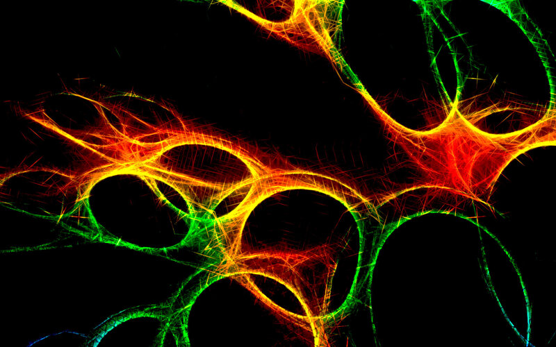 Abstract fractal network
