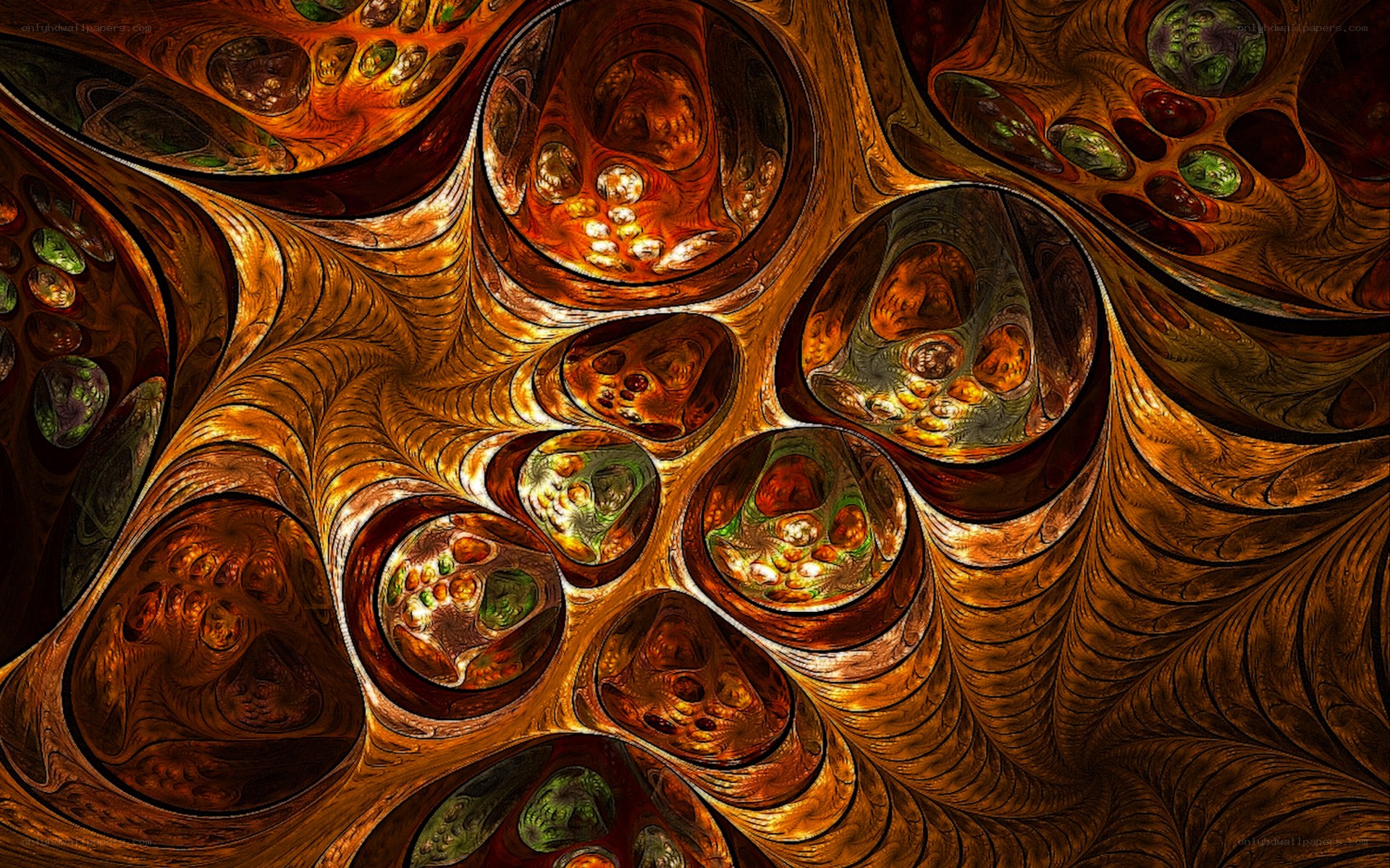 Abstract fractal organic patterns
