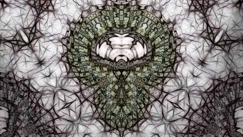 Abstract Fractal Pattern — Black, Hypnotic, Digital Art, Symmetry, Wavy Lines, Central Shape