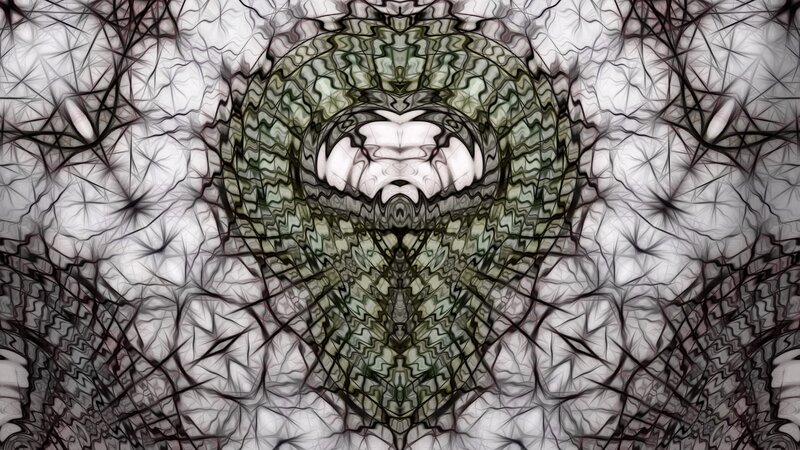 Abstract Fractal Pattern — Black, Hypnotic, Digital Art, Symmetry, Wavy Lines