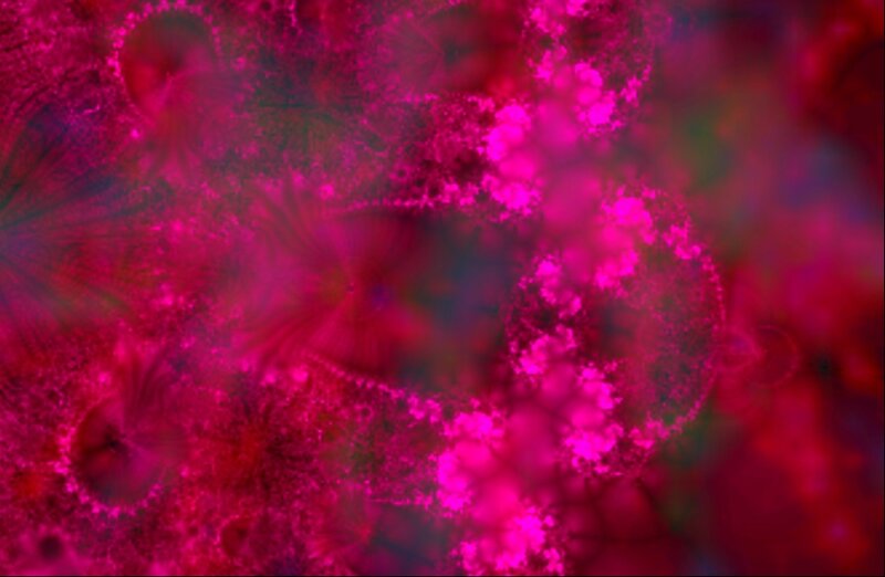 Abstract Fractal Pattern — Magenta