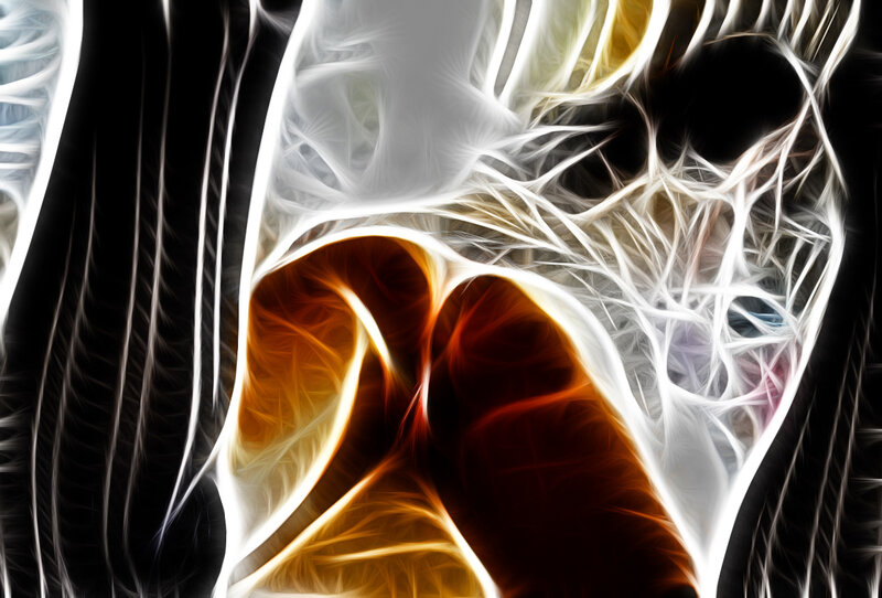 Abstract Fractal Pattern — White, Dramatic