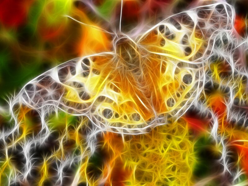 Abstract Fractal Pattern — Yellow, Energetic