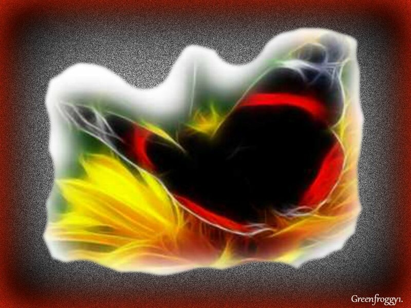 Abstract Fractal Shape