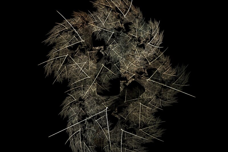 abstract fractal skull