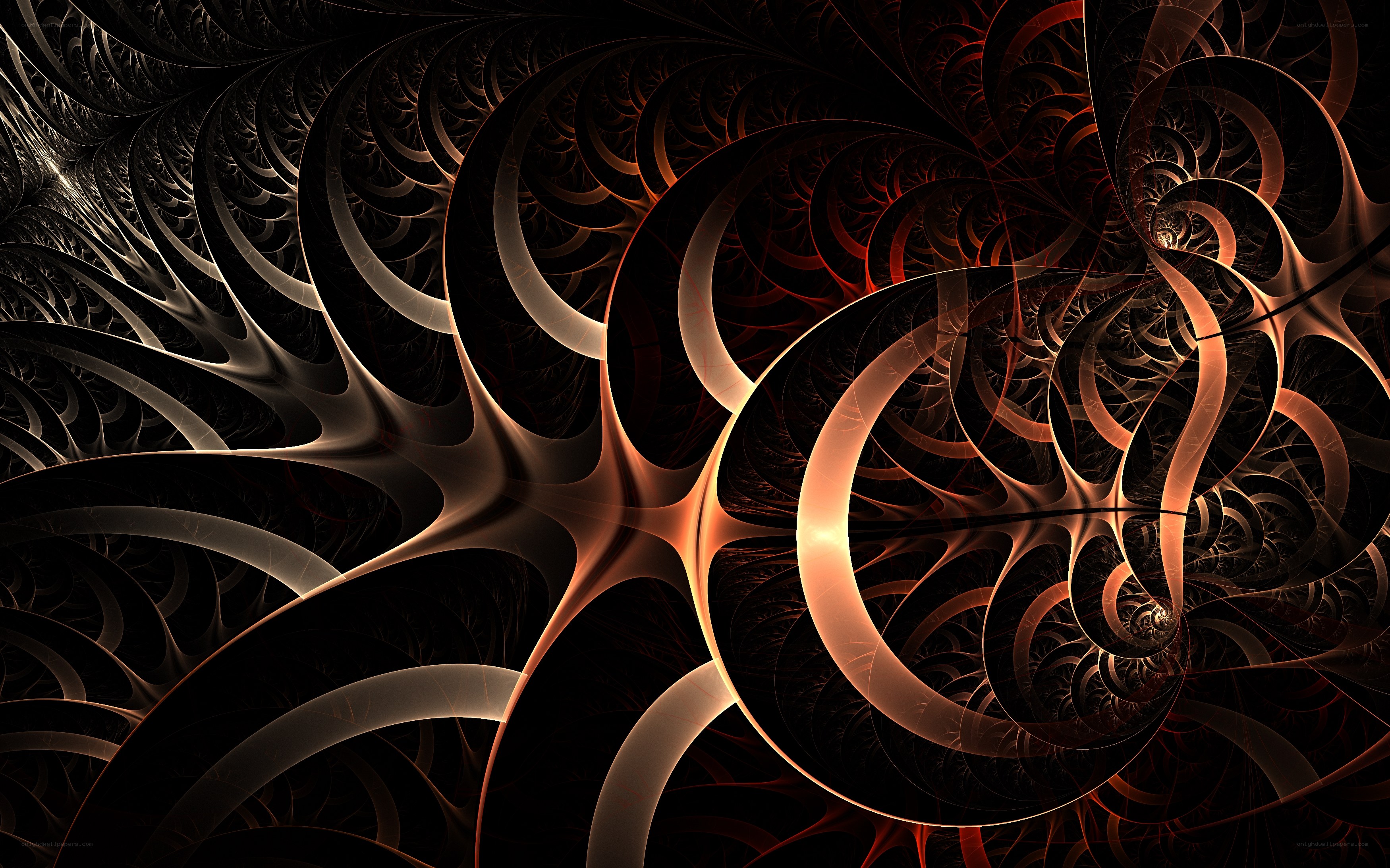 Abstract fractal spiral design