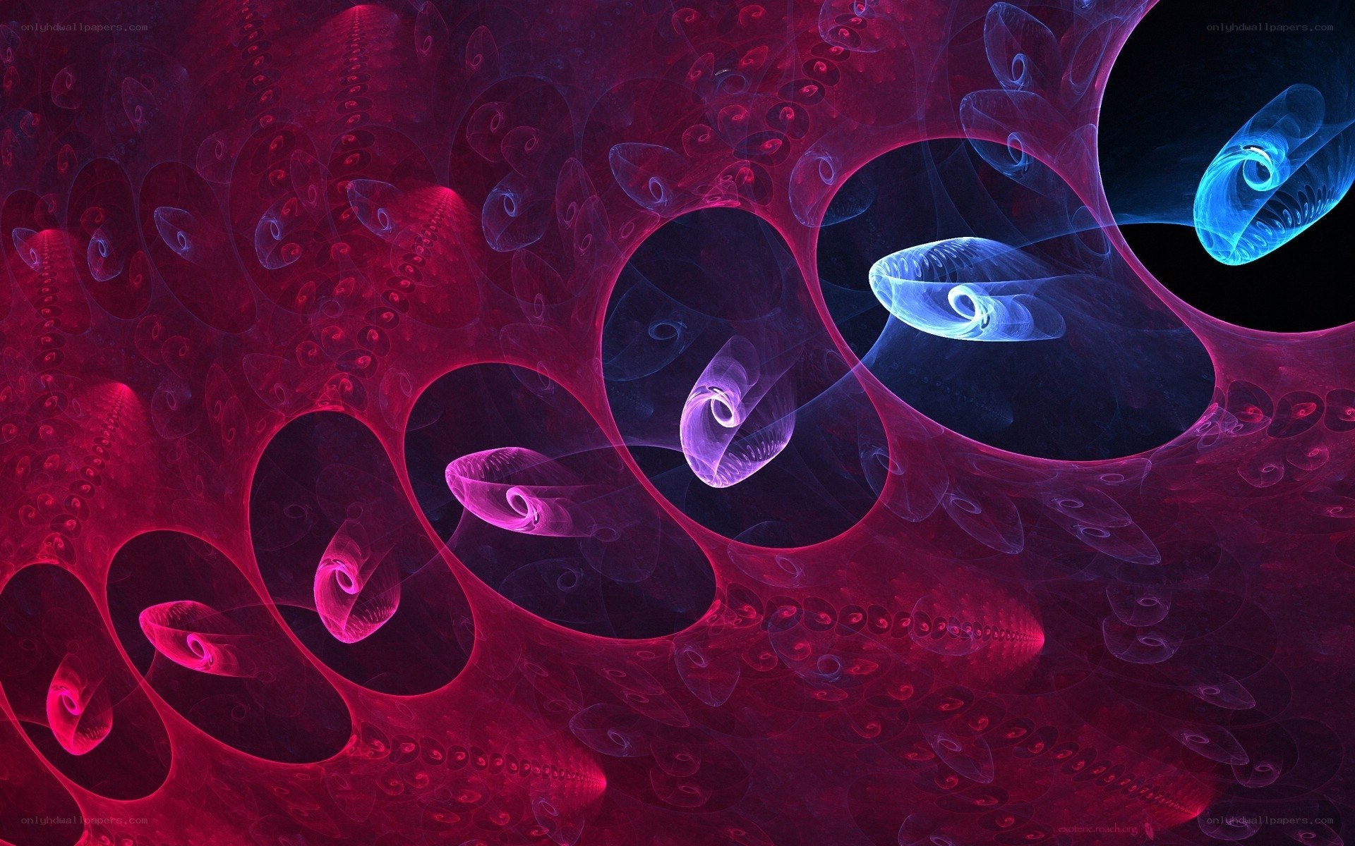 Abstract fractal spiral patterns