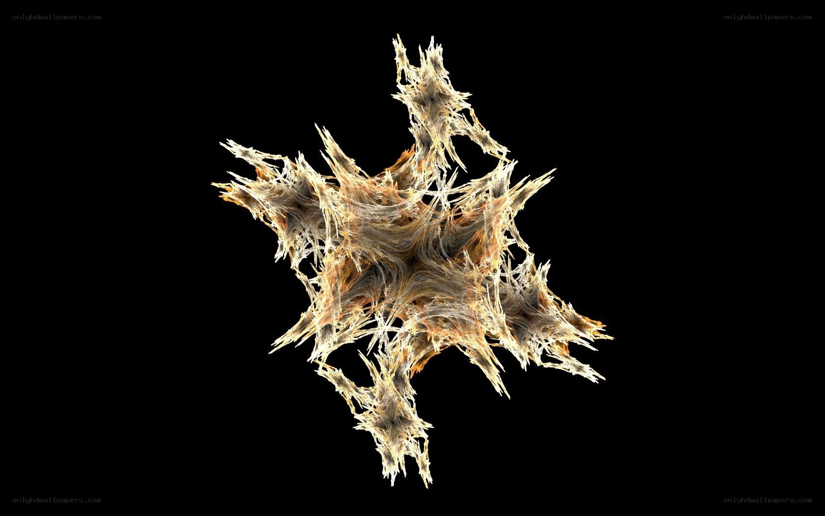 abstract fractal star shape