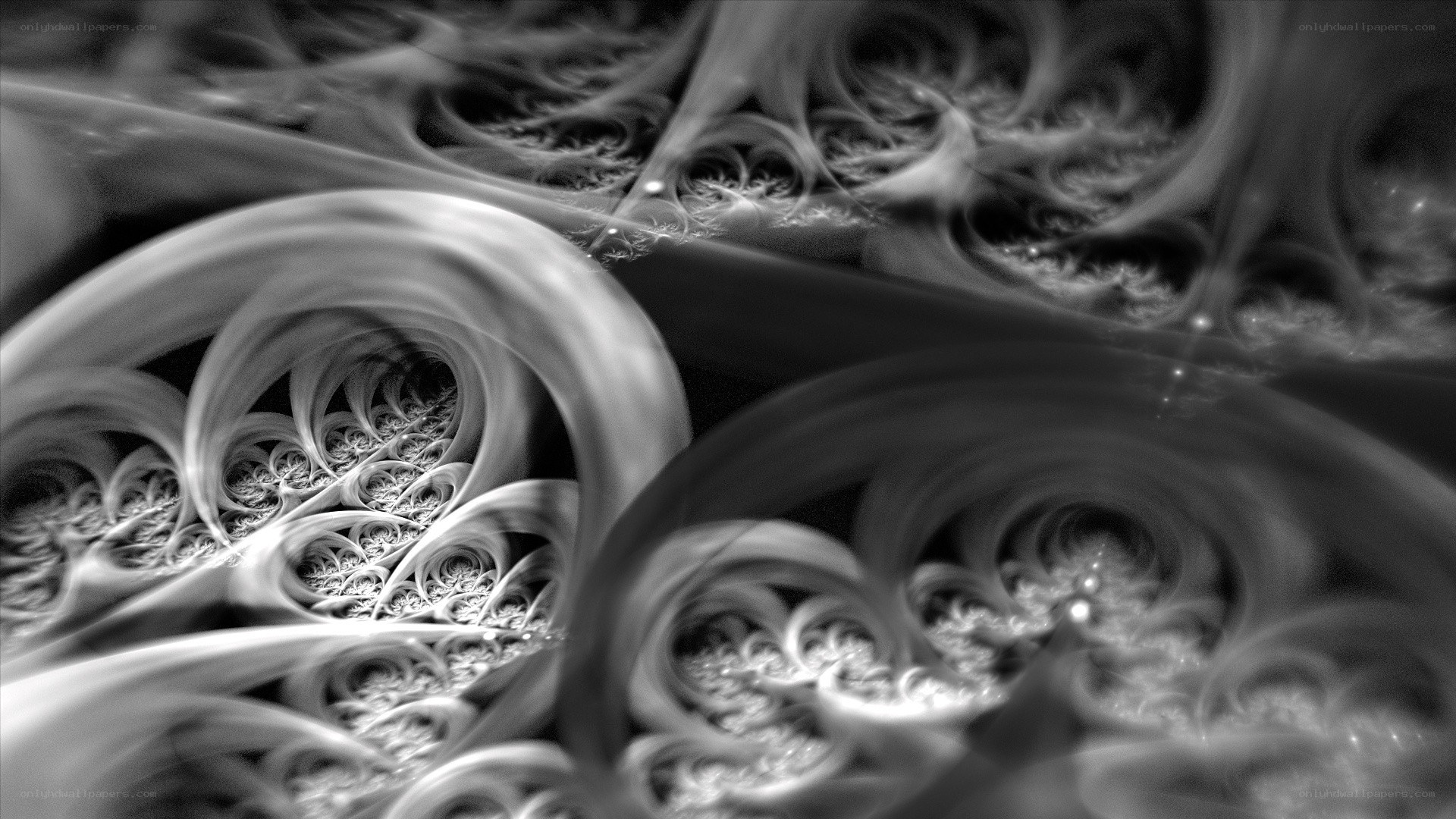 Abstract fractal swirls