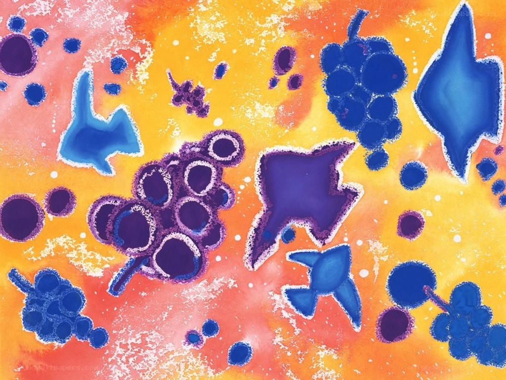 Abstract fruit and shapes art