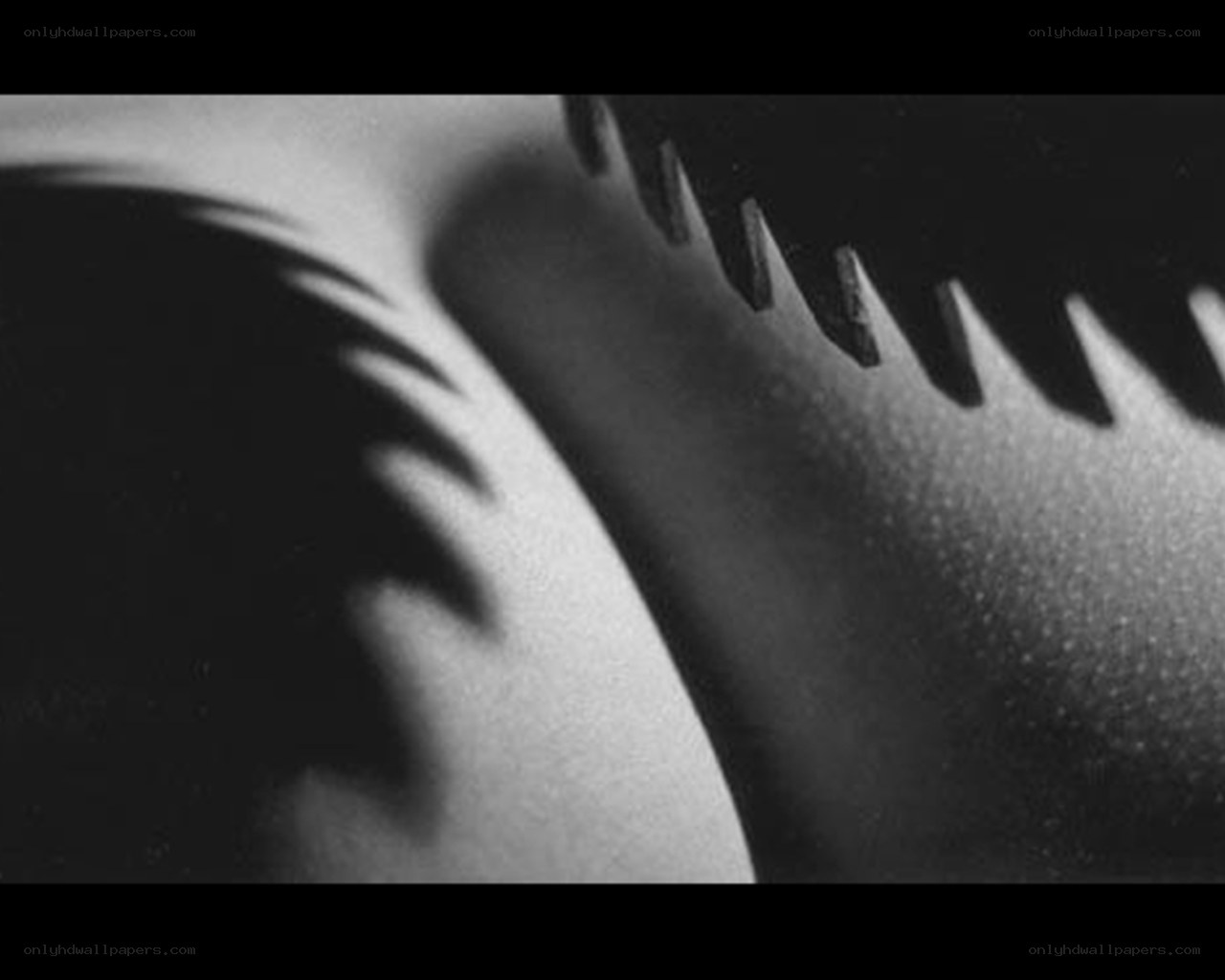 abstract gear shadow
