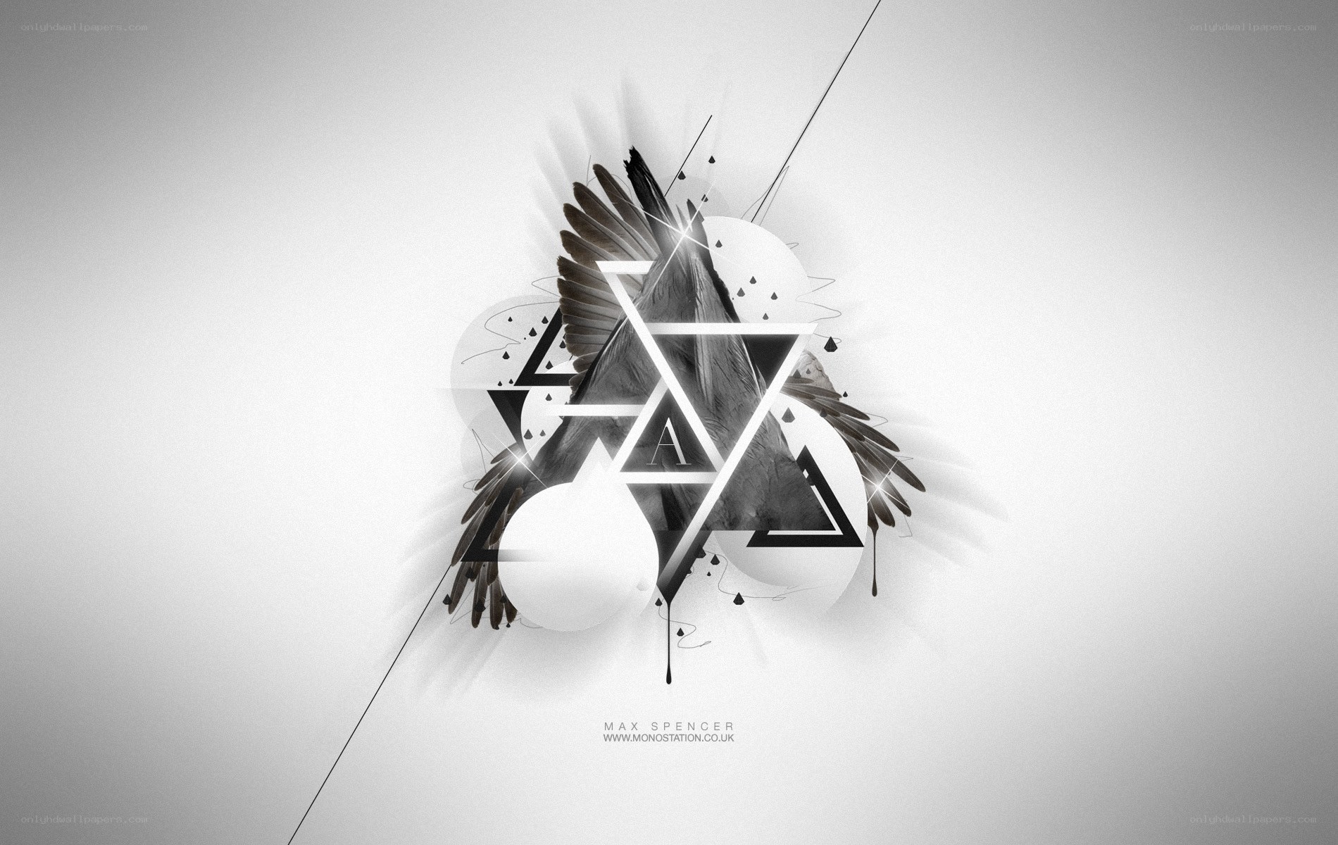 abstract geometric art with feathers