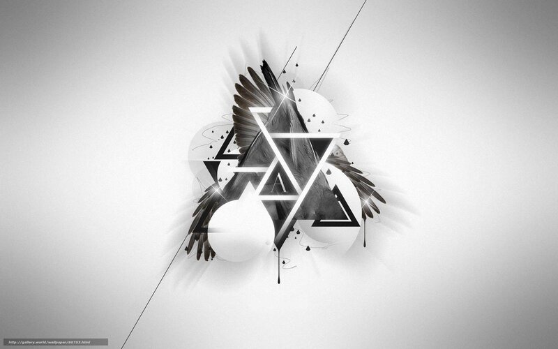 abstract geometric design with feathers