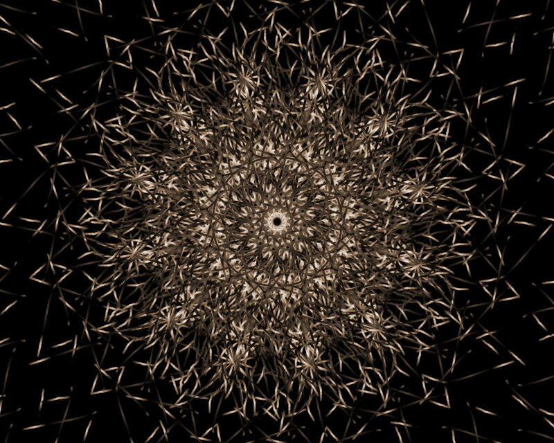 Abstract Geometric Pattern — Black, Calm, Brown