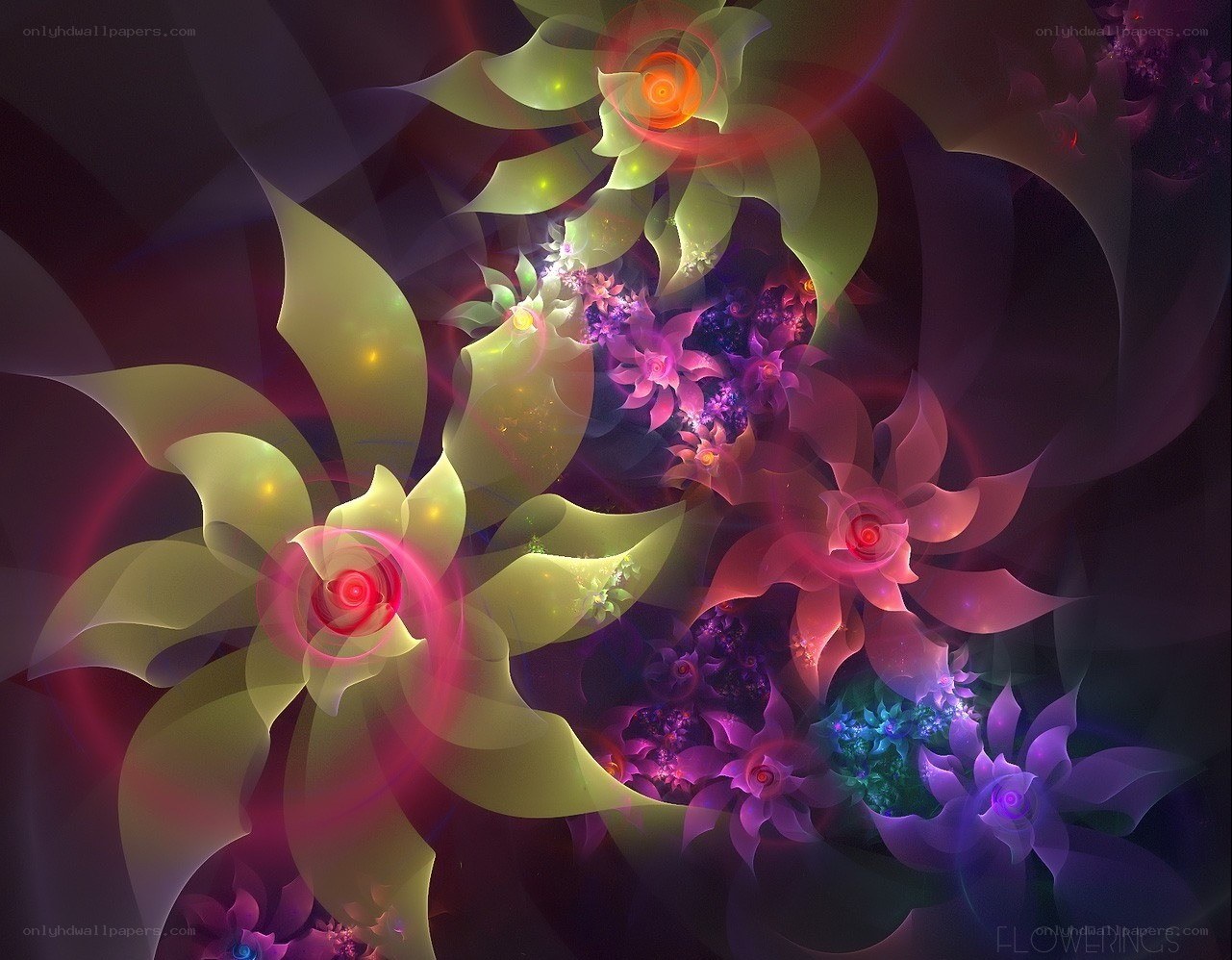 Abstract glowing floral fractals