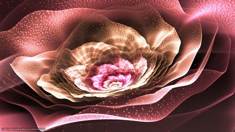 Abstract Glowing Flower — Pink