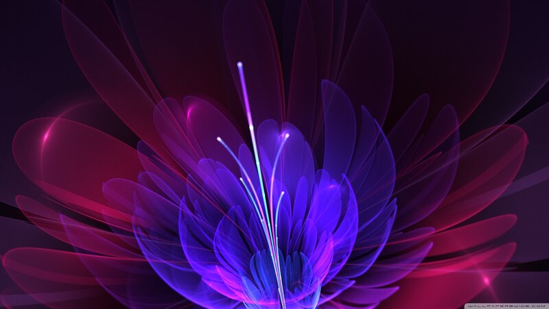 Abstract Glowing Flower — Purple, Ethereal