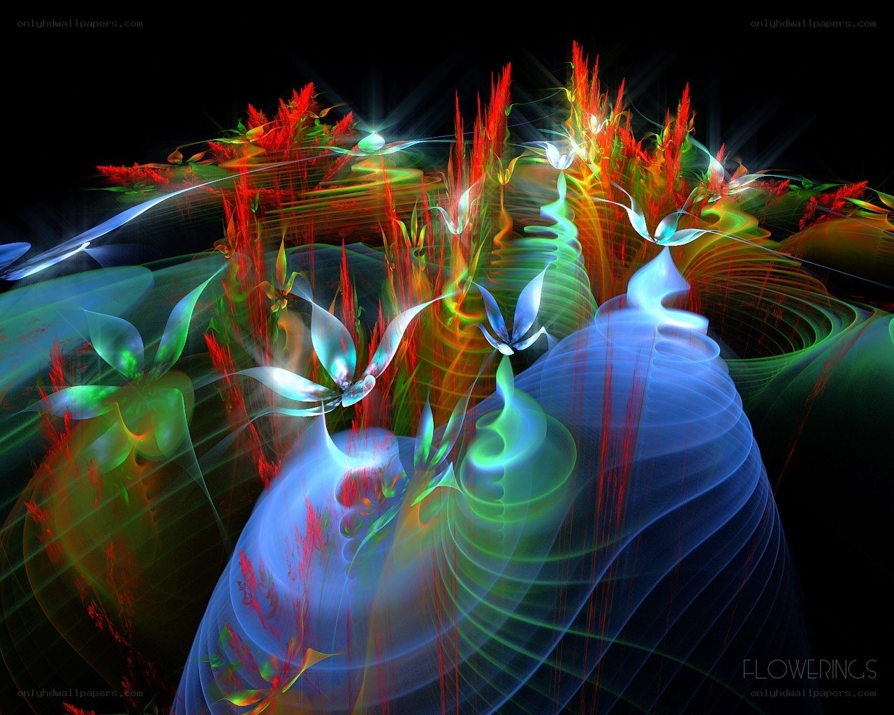 Abstract glowing fractal flowers