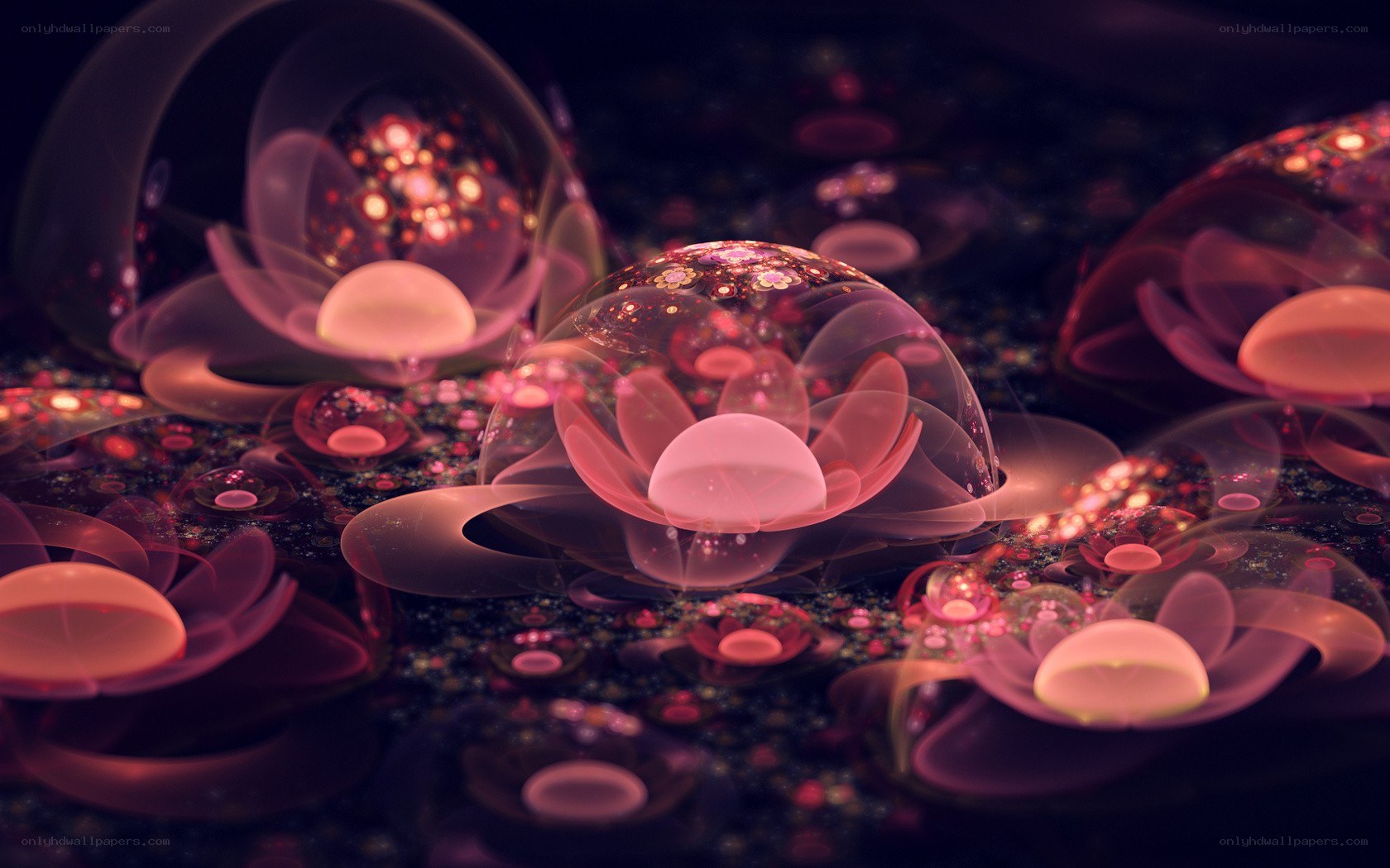 Abstract glowing lotus spheres